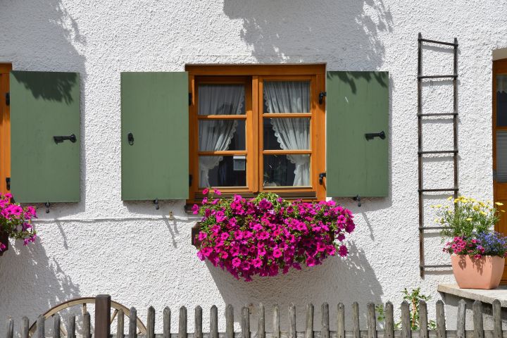 Ein Fenster mit grünen Fensterläden, das von bunten Blumen in einem Blumenkasten geschmückt wird. Im Hintergrund ist eine weiße Wand und eine Gartenmauer zu sehen. Eine Leiter ist an die Wand gelehnt.