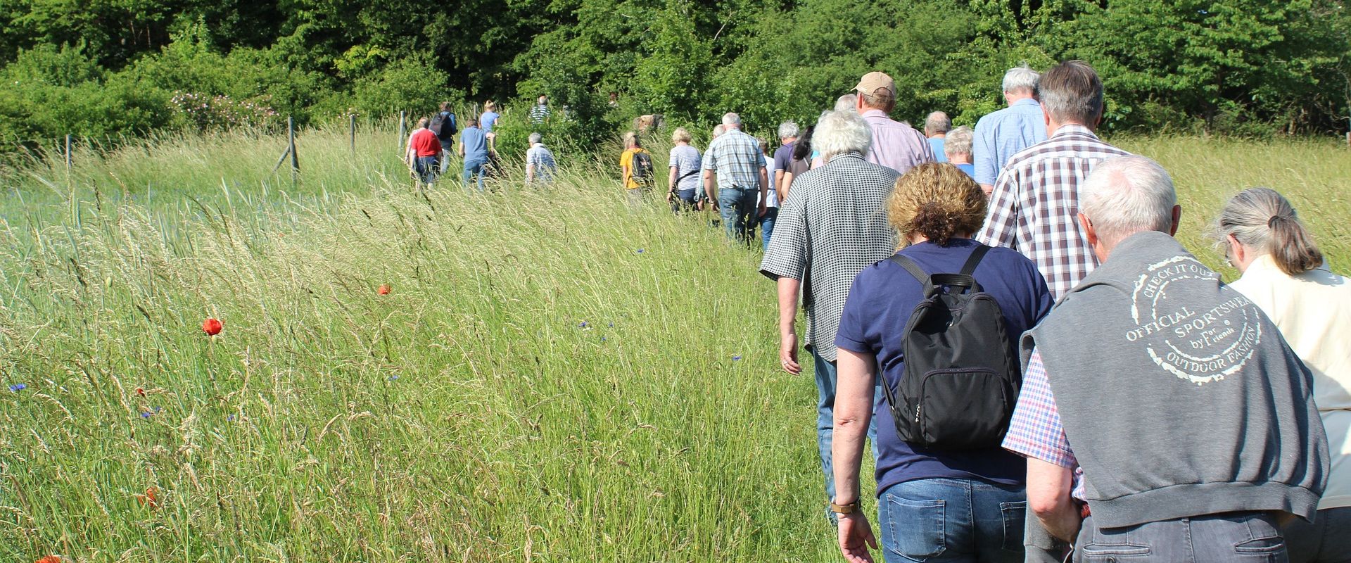 Eine Gruppe von Menschen, überwiegend ältere Erwachsene, wandert auf einem unbefestigten Weg durch hohes, grünes Gras. Im Hintergrund sind Bäume und einige Blumen zu sehen. Die Gruppe bewegt sich in einer lockeren Formation.