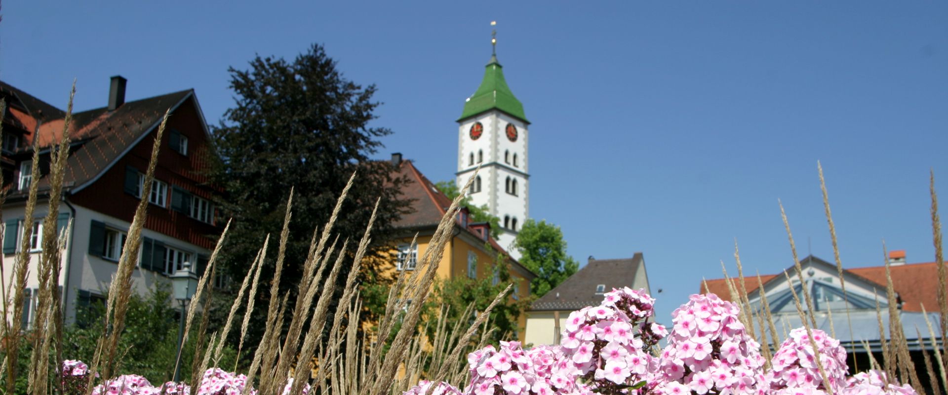 Blick auf eine malerische Stadtlandschaft mit bunten Häusern und einem hohen Kirchturm, der eine grüne Kuppel hat. Im Vordergrund blühen rosa Blumen und es ist ein klarer blauer Himmel zu sehen.