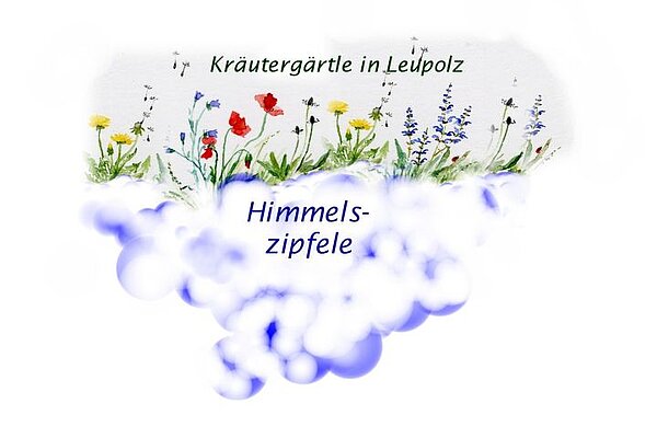 Bunte Wildblumen in einem Kräutergarten sind abgebildet, oben steht der Schriftzug "Kräutergärtle in Leupolz" und darunter "Himmelszipfele". Die Farben sind lebhaft, mit einer sanften, verschwommenen blauen Umrandung.