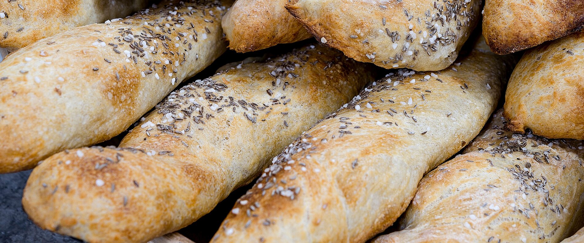 Ein Haufen frisch gebackener Brotstangen, die goldbraun sind und mit verschiedenen Saaten wie Sesam und Mohn bestreut sind. Die Textur wirkt knusprig und appetitlich.