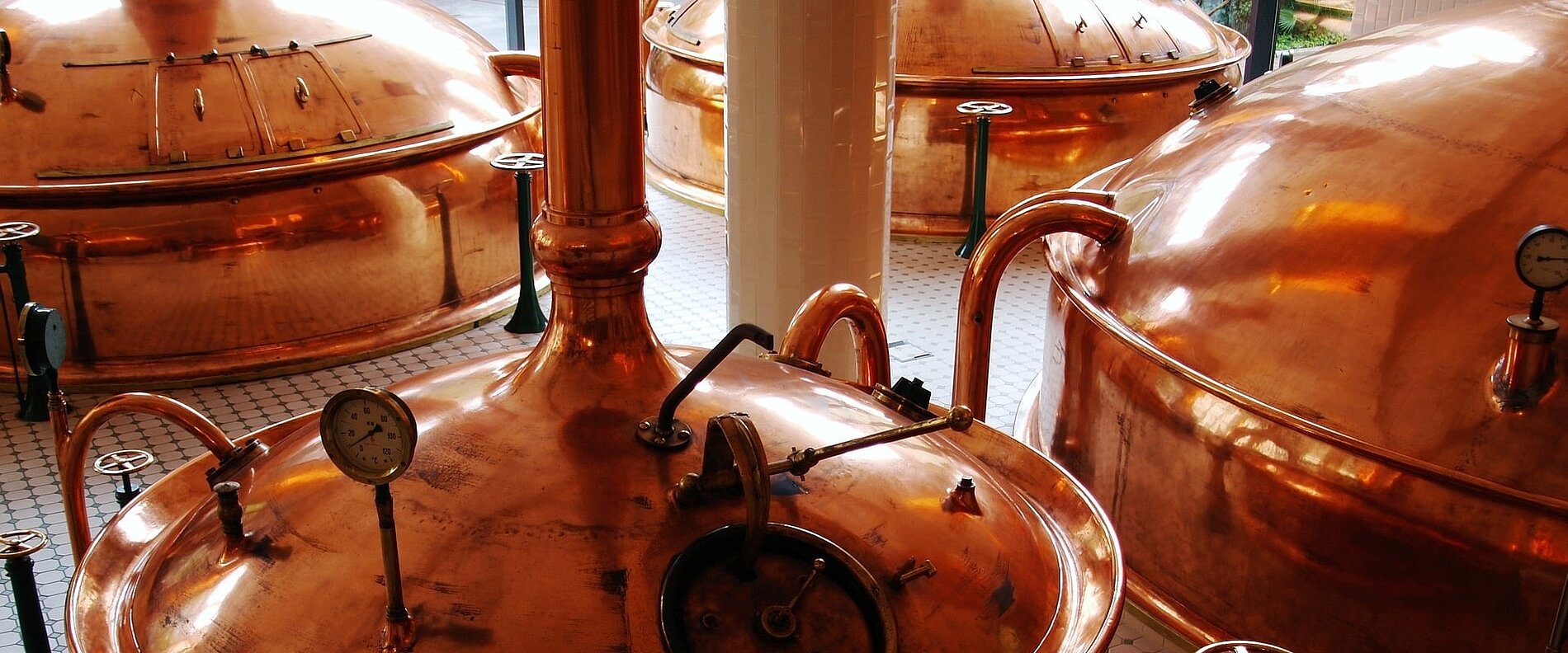 Eine Brauerei mit glänzenden Kupferkesseln. Die Kessel haben unterschiedliche Formen und sind mit Messgeräten ausgestattet. Die Umgebung ist hell und freundlich, und es sind mehrere Kessel nebeneinander zu sehen.